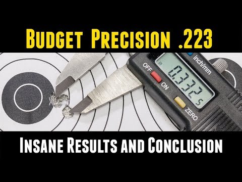 Budget Precision .223: Results and Conclusion