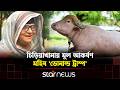 মিরপুর চিড়িয়াখানায় আলোচনার কেন্দ্রবিন্দু মহিষ ‘ট্রাম্প’ | Star News