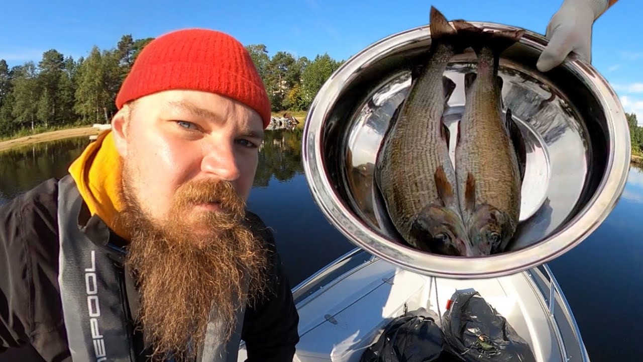 Tuliko tästä kalareissu? Veneretki Inarijärvellä jatkuu Selkälahden vuokratuvalle. Osa 3