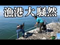 【北海道】【釣り】ちょい投げで鮭！？高級魚！？を狙ってみたら爆釣だった