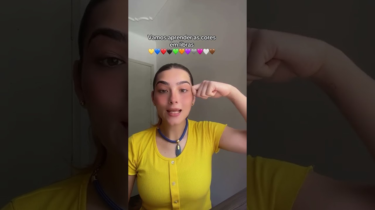 APRENDA CORES EM LIBRAS!
