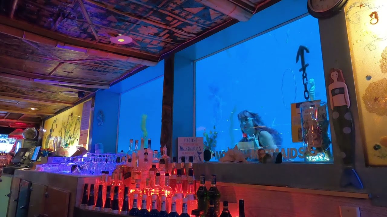 Mermaid Aerial at the Sip N Dip Lounge window fun