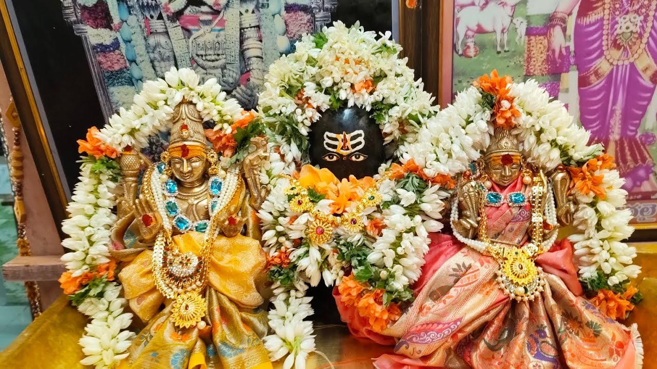 శివరాత్రి రోజున మన #శ్రీపాండురంగస్వామి ఆలయంలో #పాలాభిషేకం #నిర్వహించారు. మాతో కలిసి మీరు చూసేయండి.