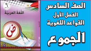 شرح و حل درس  الجموع    |  اللغة العربية  | الصف السادس | الفصل الأول