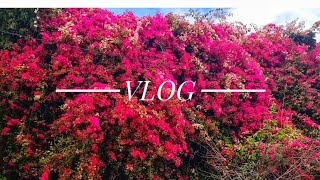 Vlog:Мои будни. Очищаю энергетику дома.Эскизы дочери. Немного о себе.