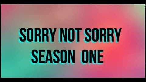 Sorry Not Sorry - msp series intro