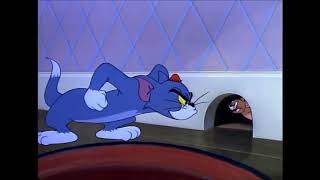 Download Lagu Tom and Jerry, 61 Episode   Nit Witty Kitty 1951 MP3 Download Lagu Tom and Jerry, 61 Episode   Nit Witty Kitty 1951 MP3
