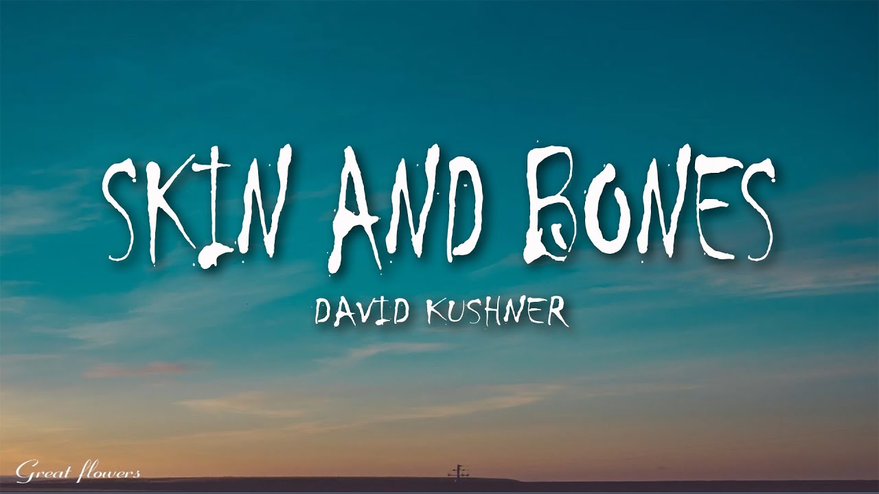 David Kushner - Skin and Bones (Lyrics) "wrap me in your skin and bones