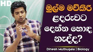 මුල්ම මව් කිරි ළදරුවට දෙන්න හොද නැද්ද? | ගැබිනි මව්වරු අනිවාර්යයෙන්ම නරඹන්න#dineshmuthugala #biology