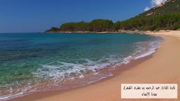 تلاوة القارئ عبد الرحمن بن مشرف الشهري - سورة الإنسان