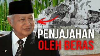 Kenapa Beras Jadi Makanan Pokok Kita?