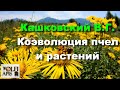 #Кашковский В.Г. Коэволюция пчел и растений