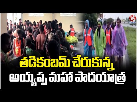 Ayyappa Maha Padayatra Reach Thadikombu | V6 News - V6NEWSTELUGU