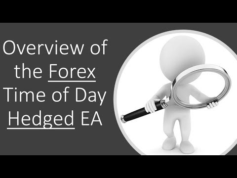 Great Easy Ea For Forex Beginners With 99 Forex Trader Success Rate 120 Guaranteed Forex Ea - 