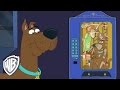 Be Cool, Scooby-Doo! | Vending Machine Troubles