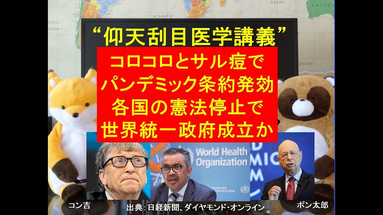 パンデミック条約可決、世界政府誕生で憲法停止 - YouTube