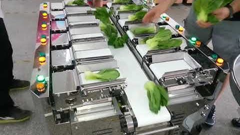 SW LC12 Linear Combination Weigher Bok choy