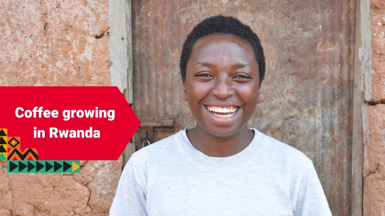 Coffee growing in Rwanda