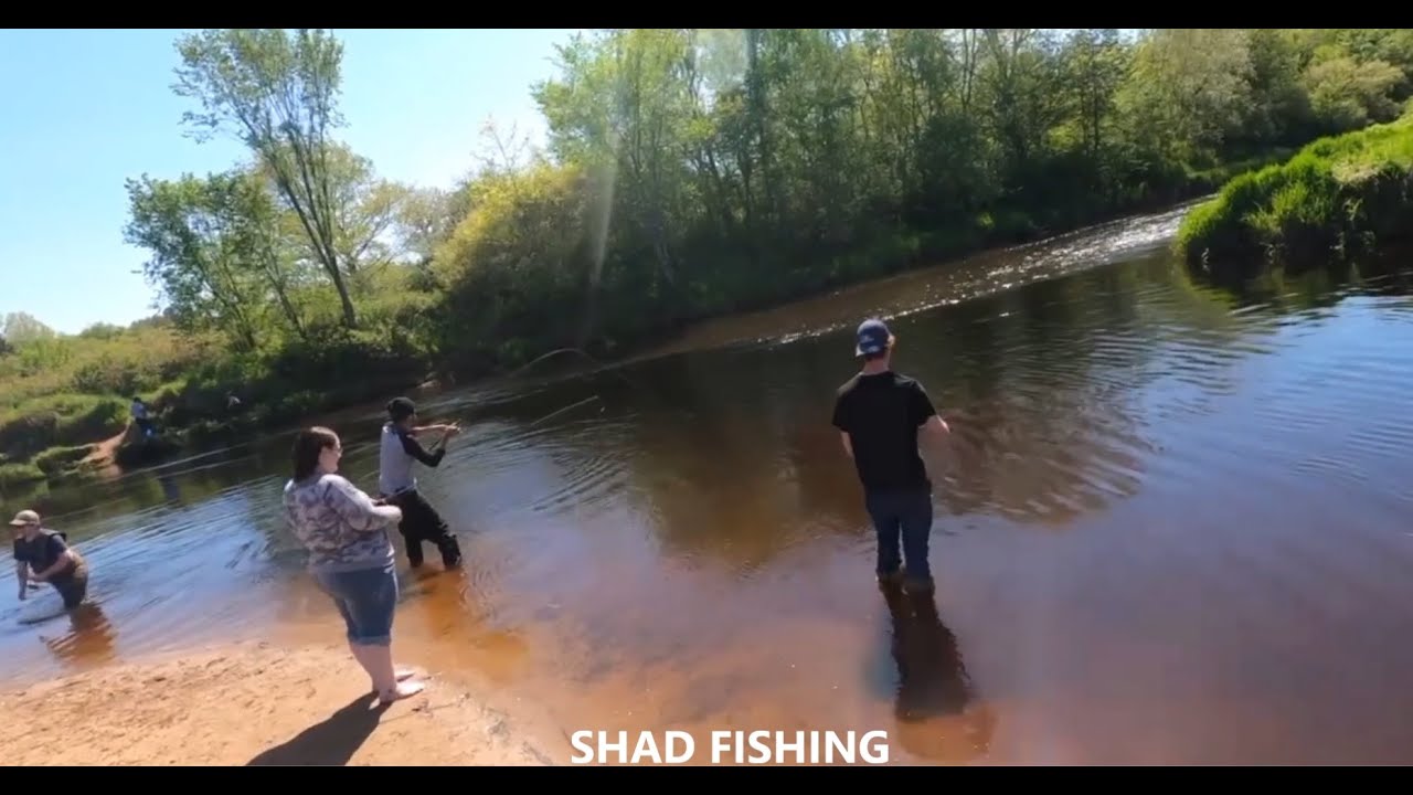 Shad Fishing in Riverside Park! Ft Tobias "Bio" Lam (May 17, 2023
