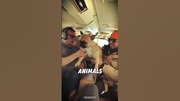 How do animals react in zero gravity 🤔