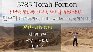 (25.6.22) 5785 토라포션 38주차 - 코라흐 &quot;고라 자손&quot;
