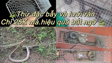 Bẫy rắn tự động 2 cửa,lưới bắt rắn siêu nhạy 25k (0989212400)