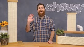 SmartCat Scratcher | Chewy