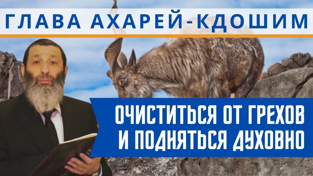 Очиститься от грехов и подняться духовно. Недельная глава Ахарей мот - Кдошим | Рав Цви Патлас