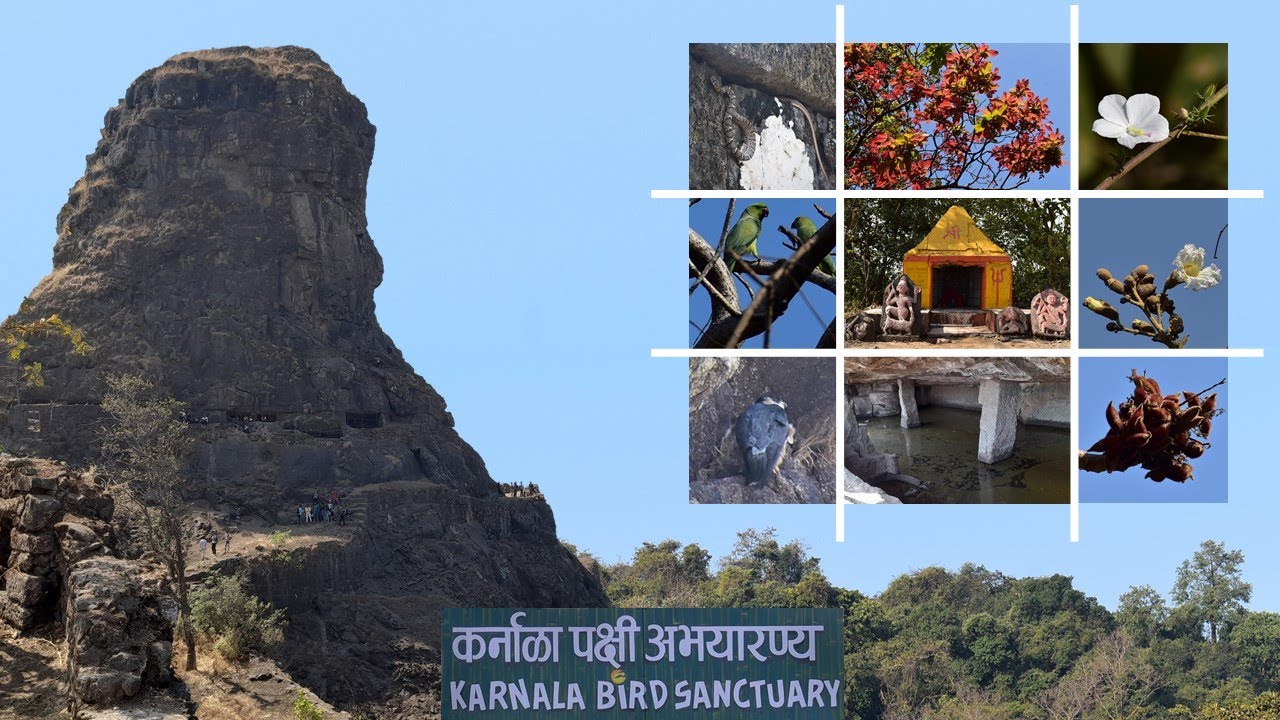Karnala Fort and Bird Sanctuary (Full HD)