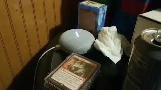 Asking Google What A Fggot Is