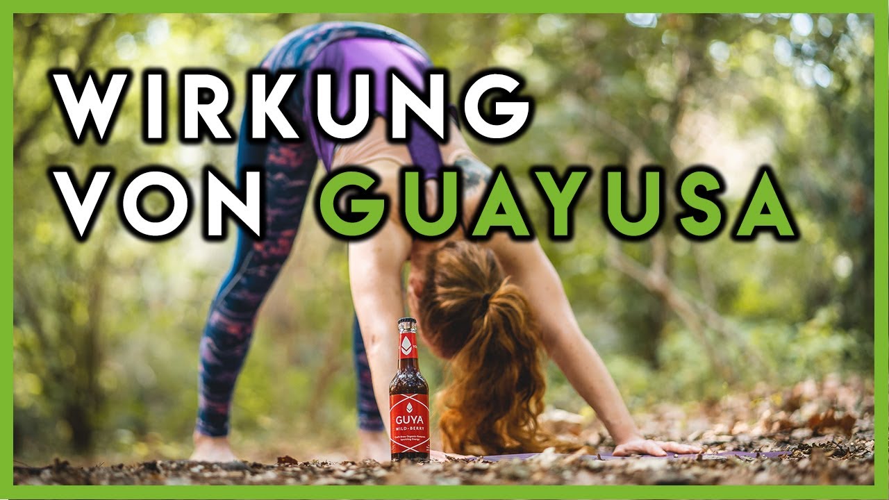 Wie kann man die Wirkung von Guayusa beschreiben? - by GUYA 🌱