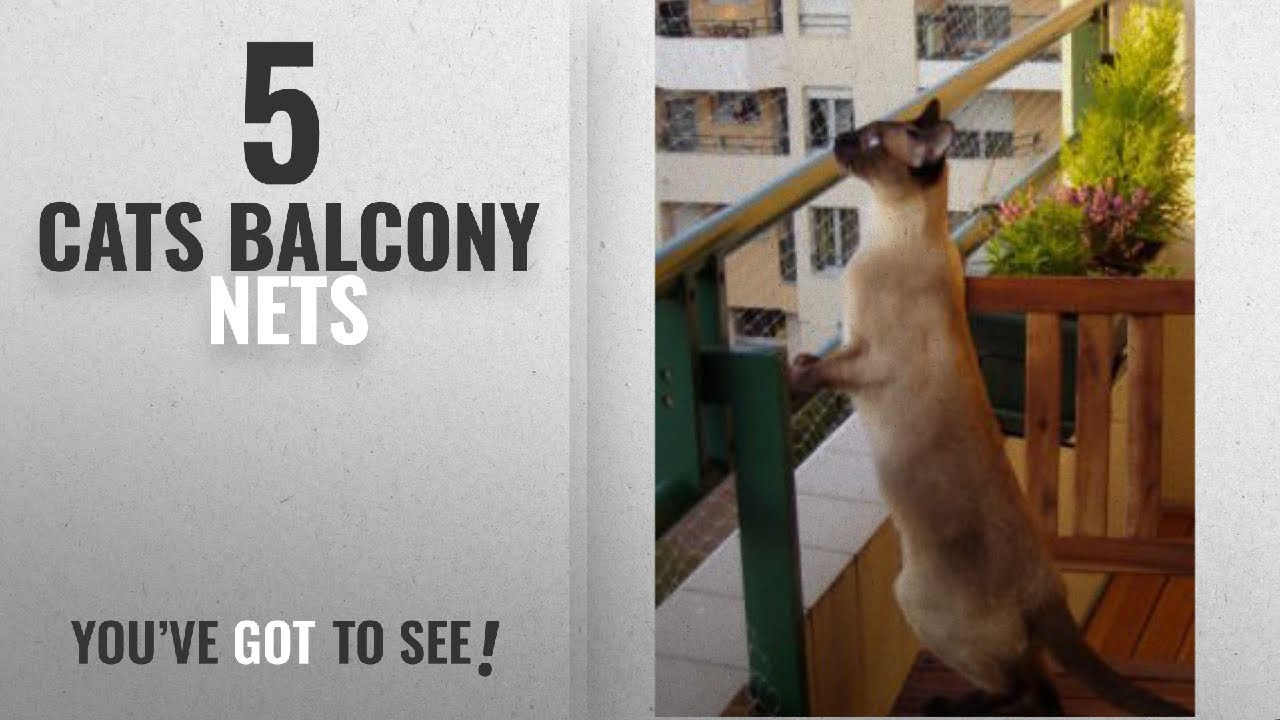 Top 10 Cats Balcony Nets [2018]: Trixie Protective Net, 4 x 3 m, Transparent