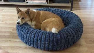Full Bedsure Dog Bed Review! The PERFECT BED! Bedsure ComfyFleece™ Donut Dog Bed News