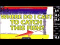 Sonar for Dummies! Fish Finder Explained for BEGINNERS!  (L6)