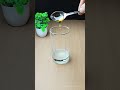 Alovera Juice Detox Drink #detoxdrink #aloverajuice