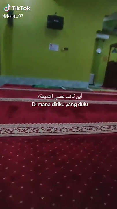 story wa stay halal