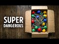 The Hidden Danger of Christmas Lights (Keep Your Pet Away)