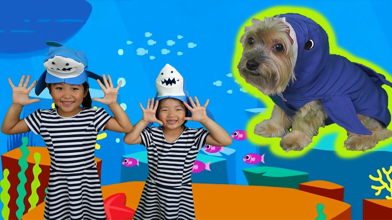 ⁣BABY SHARK DANCE I SING AND DANCE * Big Dog