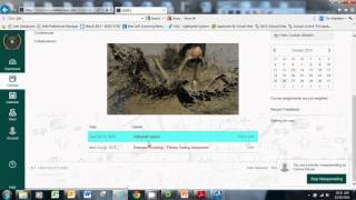 Cedar College Student Introduction to Canvas