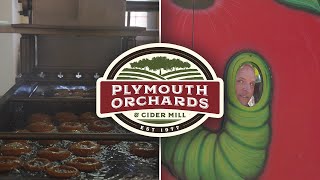 The BEST Apple Orchard FOR FAMILIES in Michigan! (Plymouth Orchards)