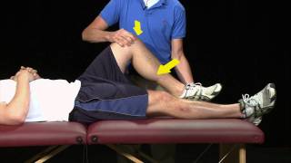 Hughston Plica Test