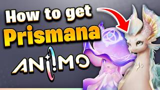How To CATCH PRISMANA Aniimo!