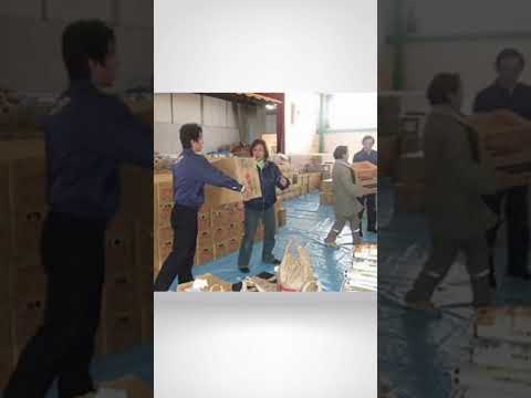 2026.3.11 文部科学委員会