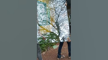 glass  unloading#tuffenglass#loading #glassart #kerala#