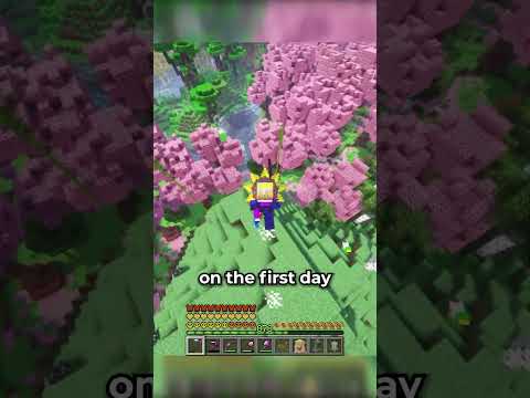 CRAZY FOR CHICKENS #minecraft #gaming #suev