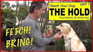 Teach Your Dog to Retrieve part 1  the HOLD  the BASICS to FETCH or BRING  Dog Training Video