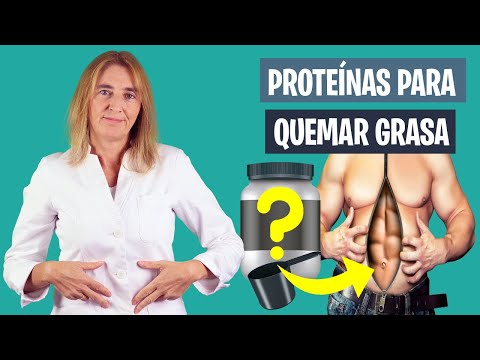 Las MEJORES PROTEÍNAS