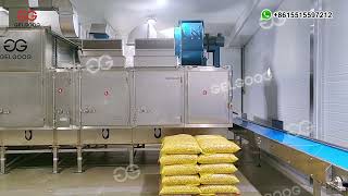 GELGOOG Macadamia Roasting Machine System - 1 T / H