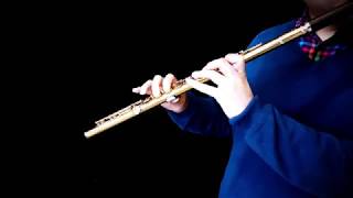 Flute Orchestra Study : Saint-Saëns's Volière (Aviary) from The Carnival of Animals