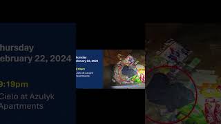 How a Morning Run Turned Into a Tragedy #truecrime #justice